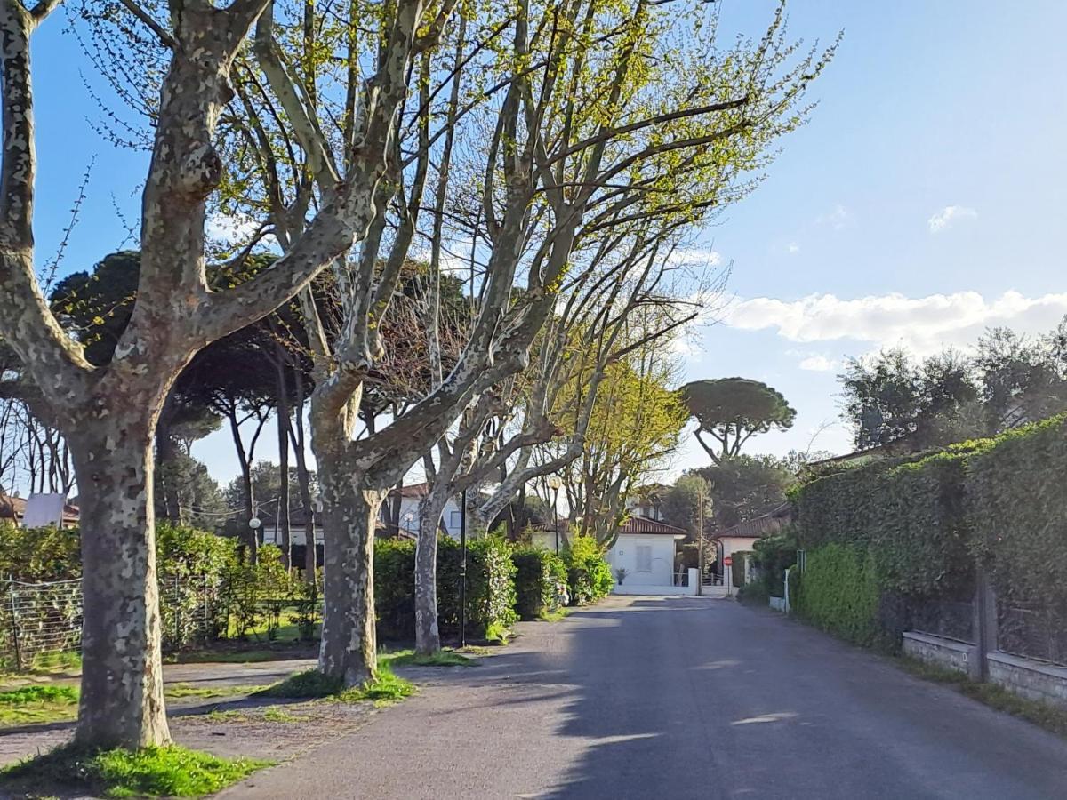 La Casina Di Marco Villa Pietrasanta Bagian luar foto